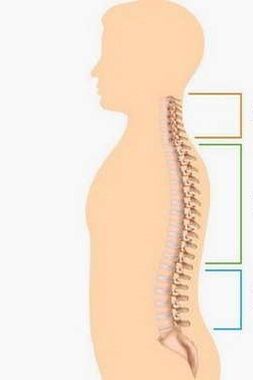 Sconfitta a causa dell'osteocondrosi di varie parti della colonna vertebrale